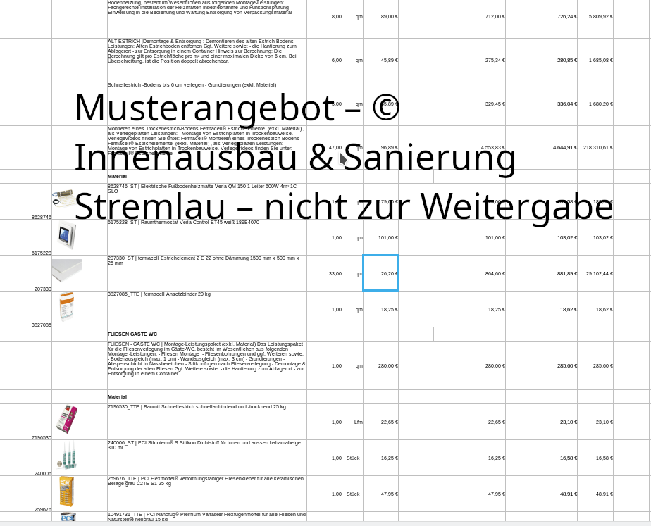 Muster-Kostenvoranschlag für Renovierungskosten-Check (Ausschnitt)